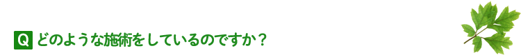 どのような施術をしているのですか？